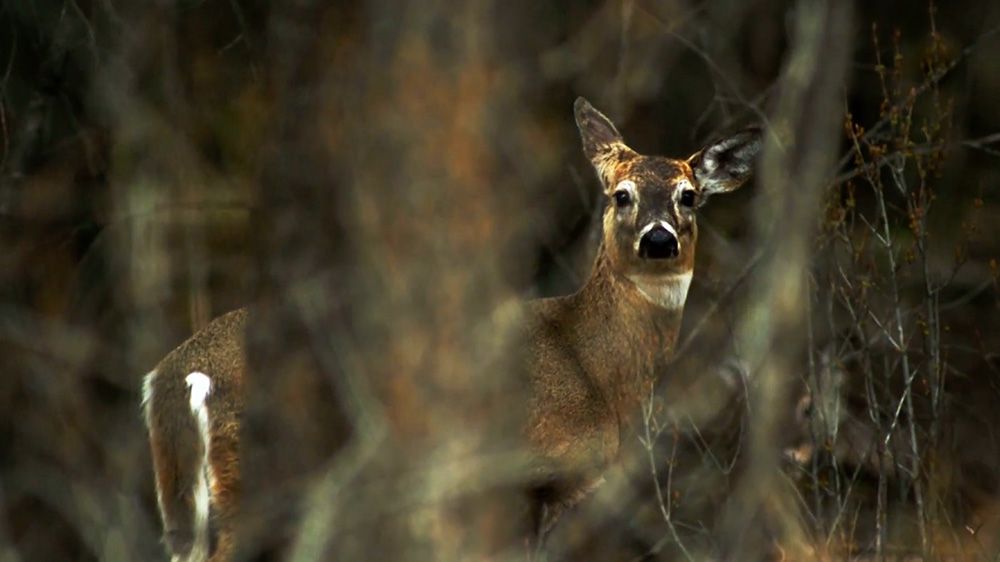 Andreas Johannessen