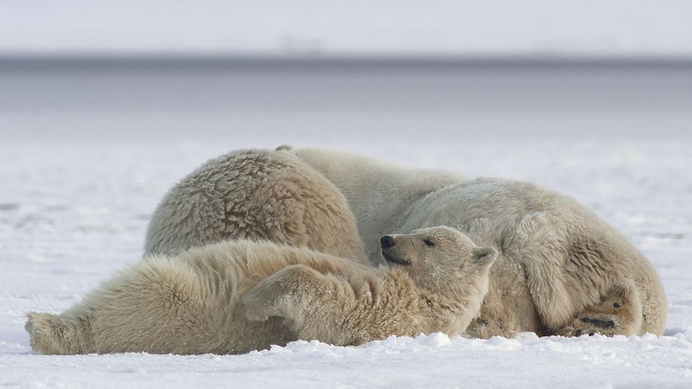 Arthur C. Smith III