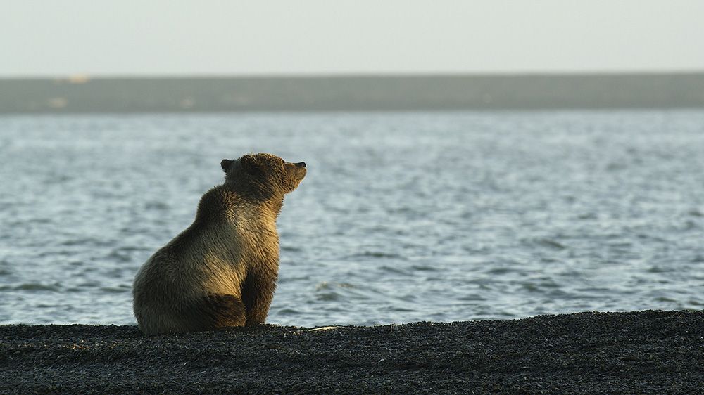 Arthur C. Smith III