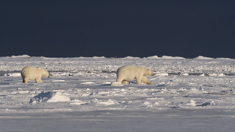 Arthur C. Smith III