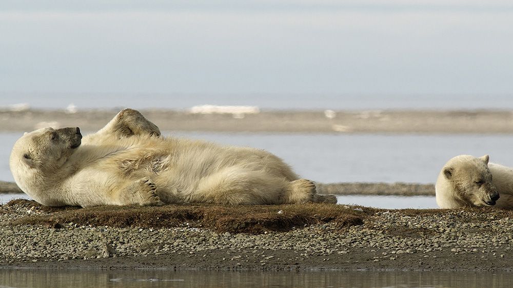 Arthur C. Smith III