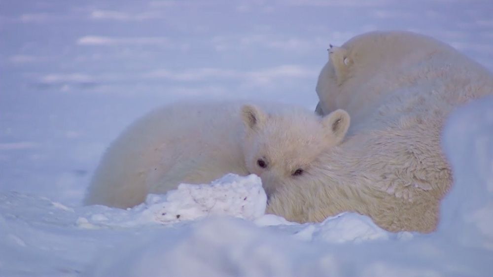 Arthur C. Smith III