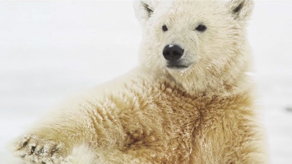 Arthur C. Smith III