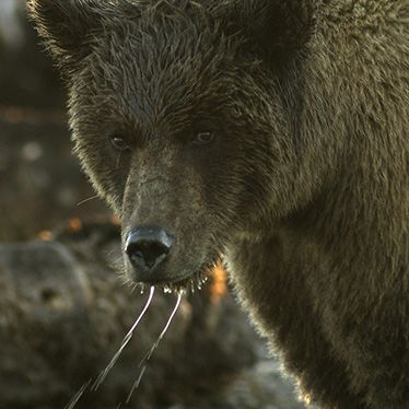 Arthur C. Smith III