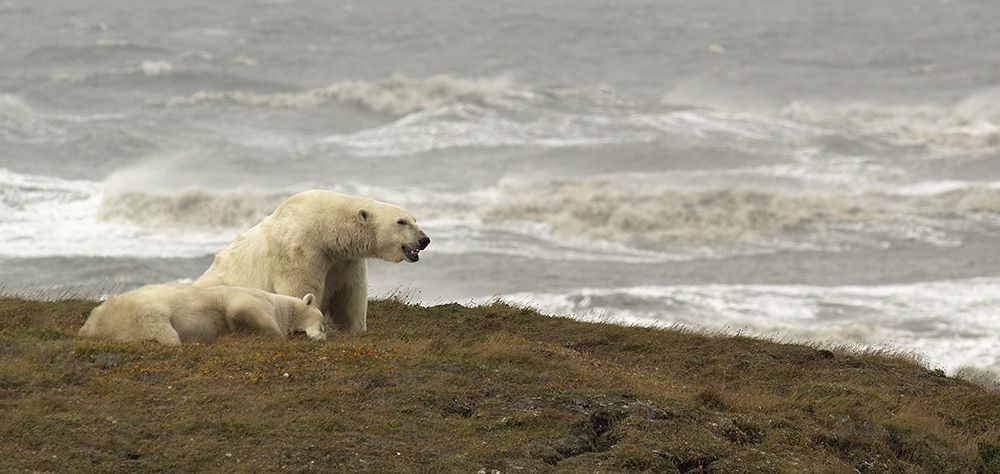 Arthur C. Smith III