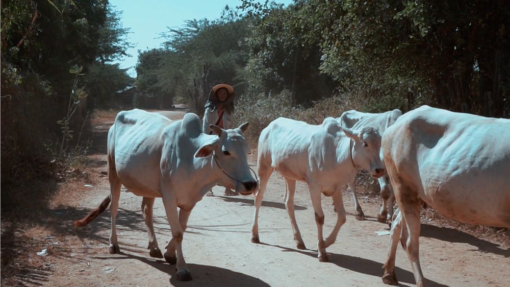 Duc Tran & Quan Doan