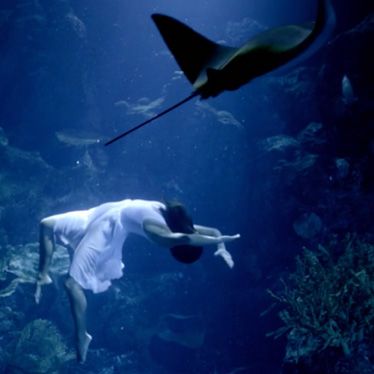 Vance Burberry ASC, ACS