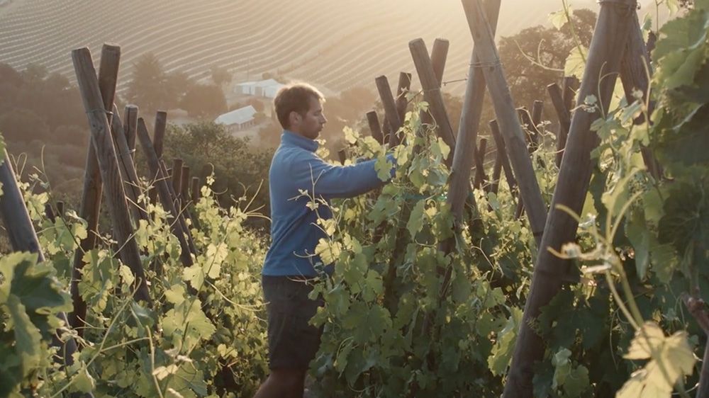 Chris Leschinsky Photography