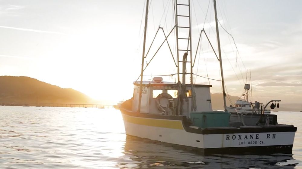 Chris Leschinsky Photography