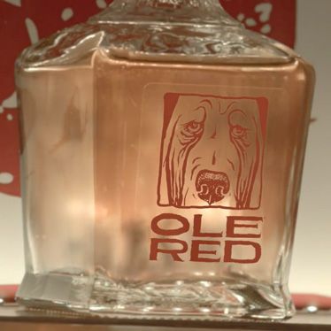 Dive Bar by Garth Brooks