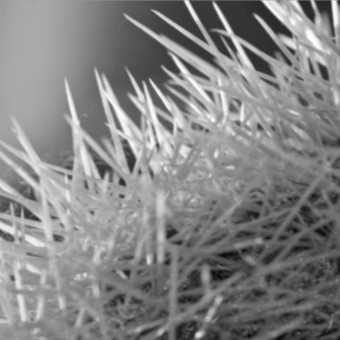 James Perse - Robertson House