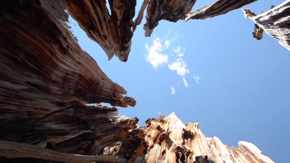 Mile…Mile & a Half