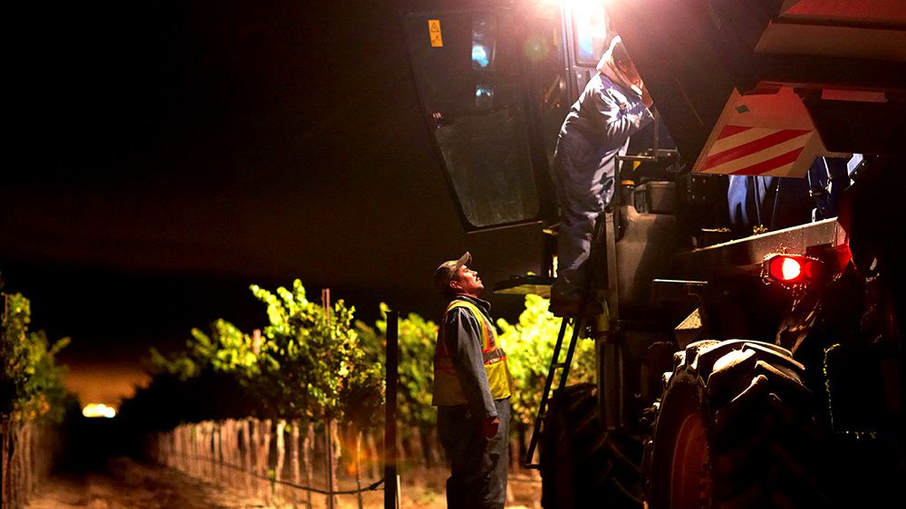 Mondavi Night Harvest