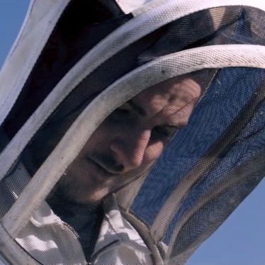 North Eye Land of New Zealand