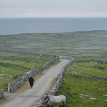 The Banshees of Inisherin