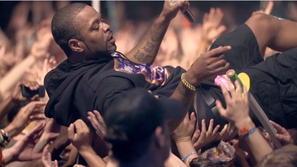 The Bonnaroo Experience