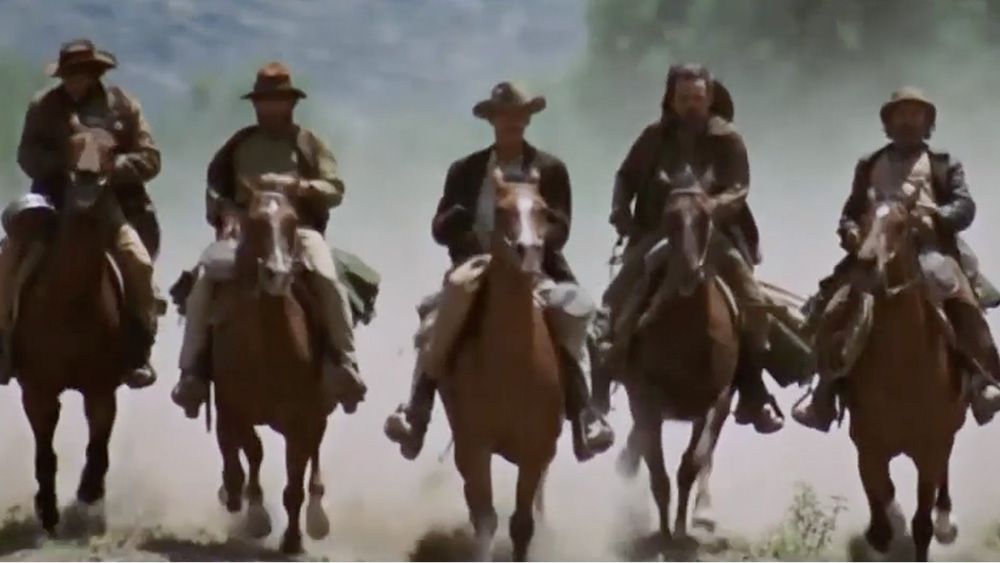 These Amazing Shadows