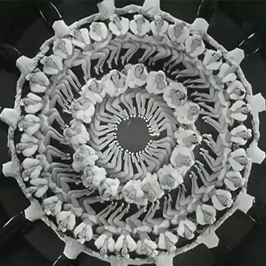 These Amazing Shadows