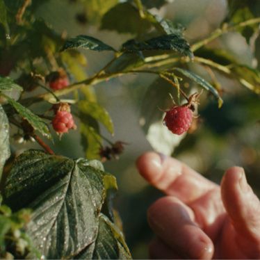 Walking gently on the Earth