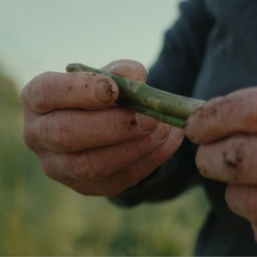 Walking gently on the Earth